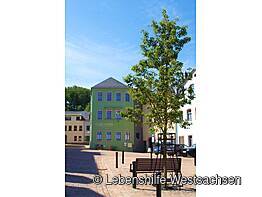 Café Marie Kirchberg - direkt am Altmarkt